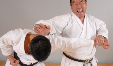 ShitoRyu